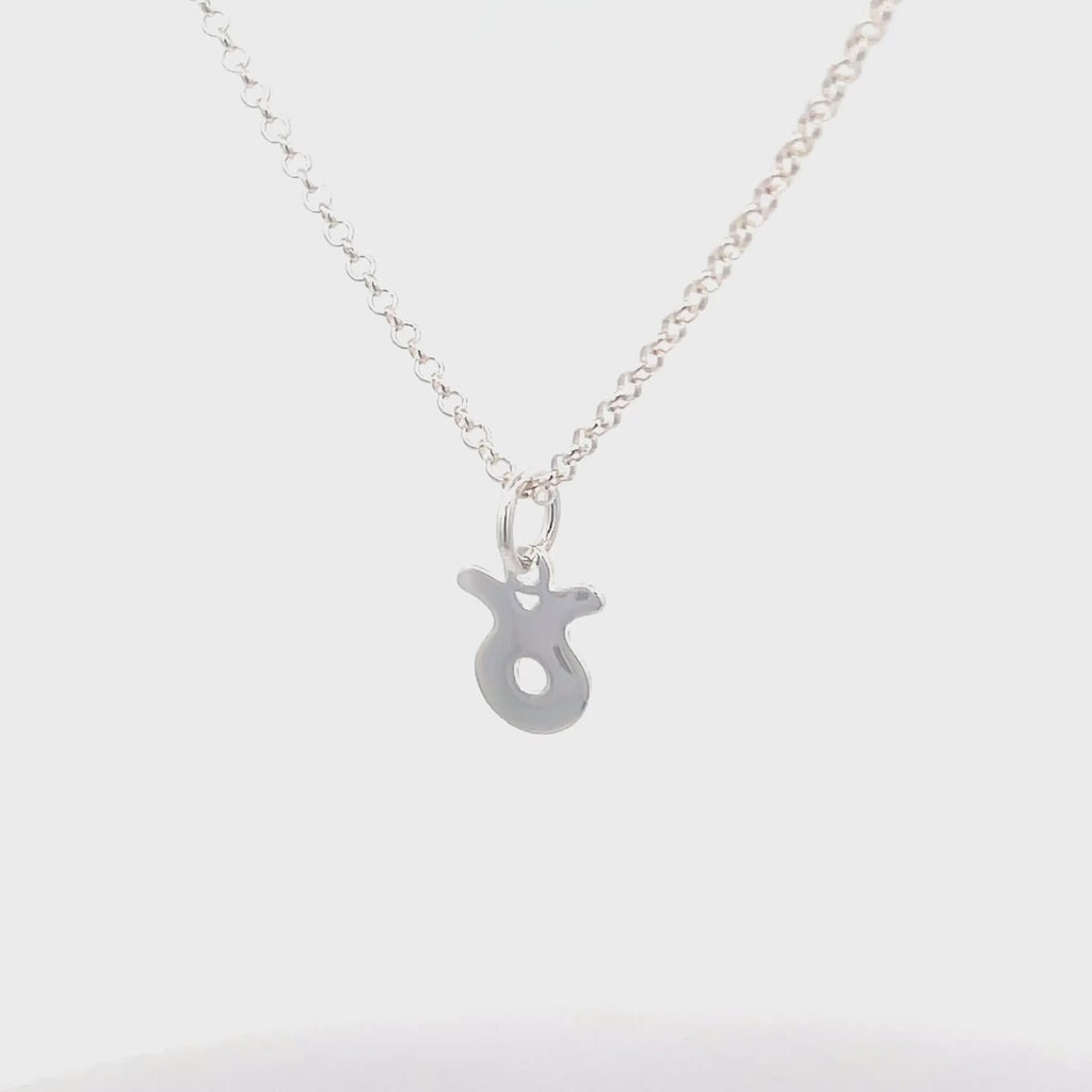 Silver Zodiac Necklaces