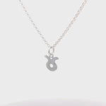 Load and play video in Gallery viewer, Silver Zodiac Necklaces
