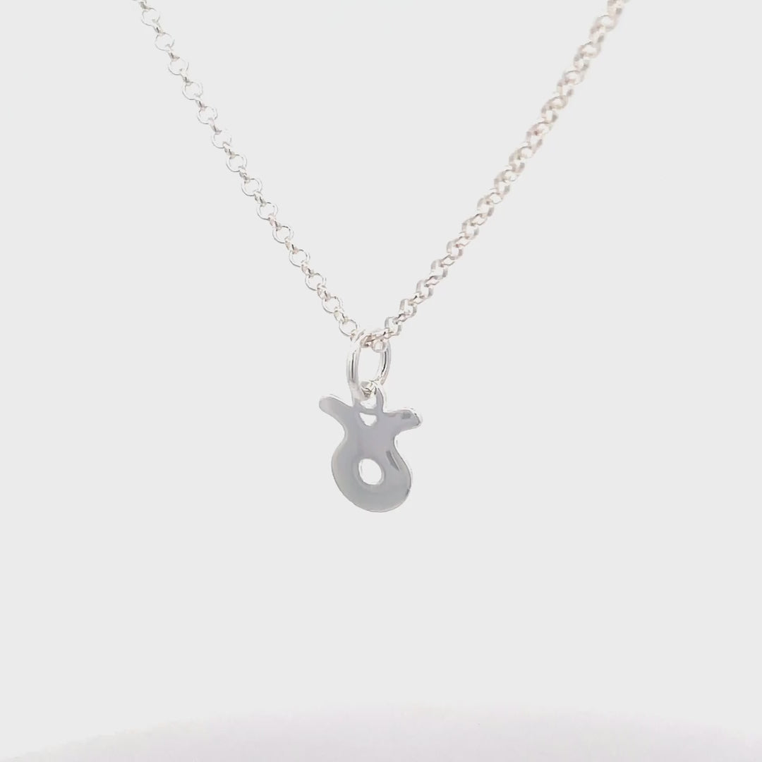 Silver Zodiac Necklaces